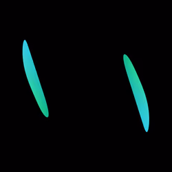 WALTZ #7498
