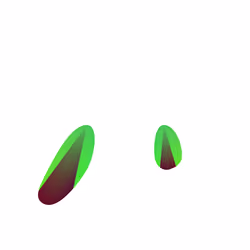 WALTZ #6853