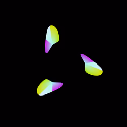 WALTZ #5790