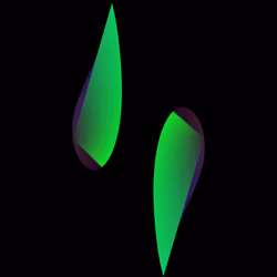 WALTZ #9238