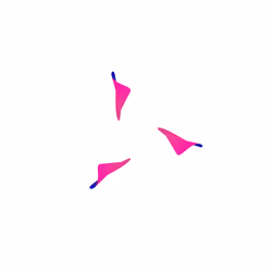 WALTZ #8994
