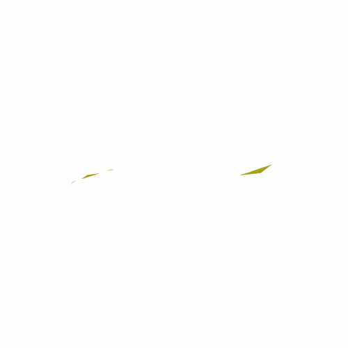 Waltz Sunflower