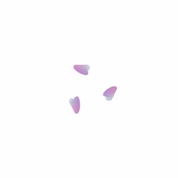 WALTZ #8958