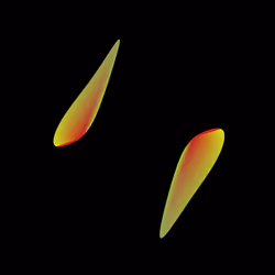 WALTZ #863