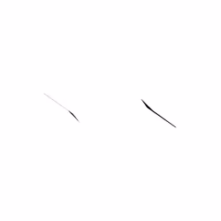 WALTZ #1269
