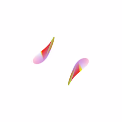WALTZ #7864