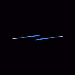 WALTZ #4437