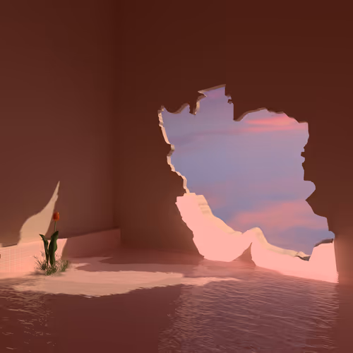 Softillusion Edition