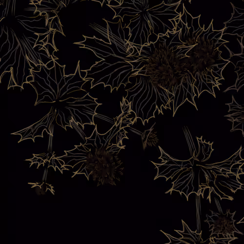 Sea Holly