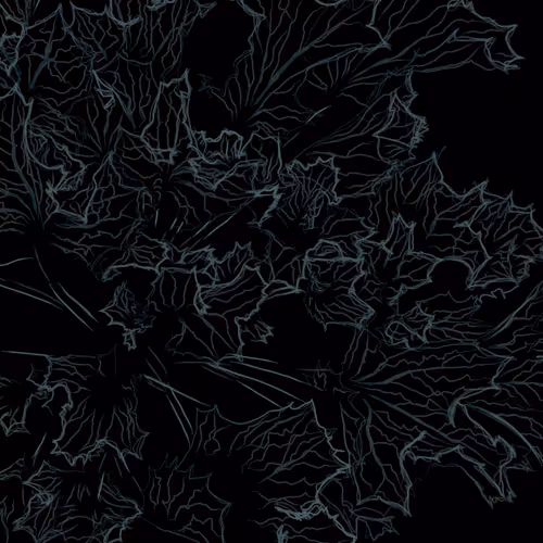 Sea Holly