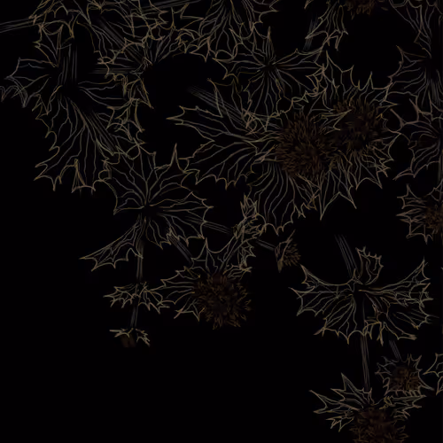 Sea Holly