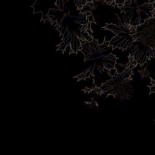 Sea Holly