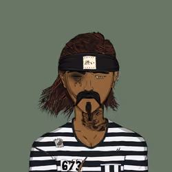 Pirate #1299