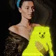 Lady with Pomeranian - Arcade Edition