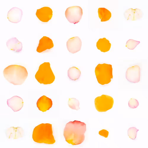 Infinite Petals 5x5#2138