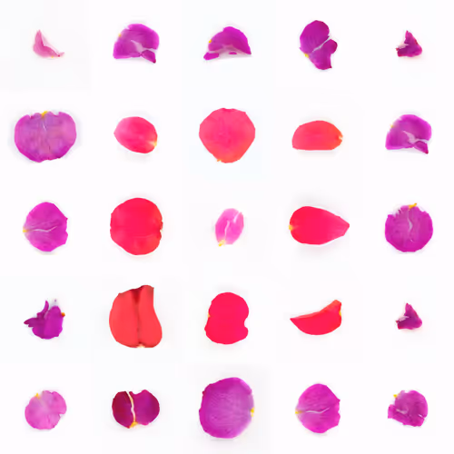 Infinite Petals By Sarah Meyohas