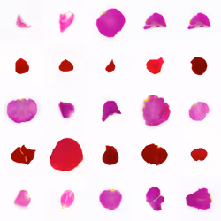 Infinite Petals 5x5#20829