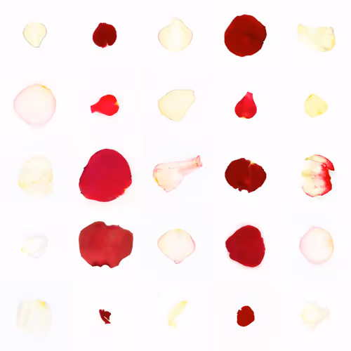 Infinite Petals By Sarah Meyohas
