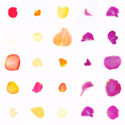 Infinite Petals 5x5#21454