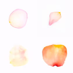 Infinite Petals 2x2#3835
