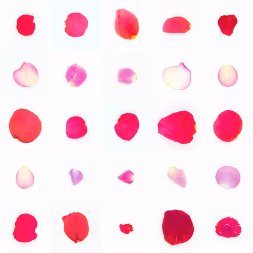 Infinite Petals By Sarah Meyohas