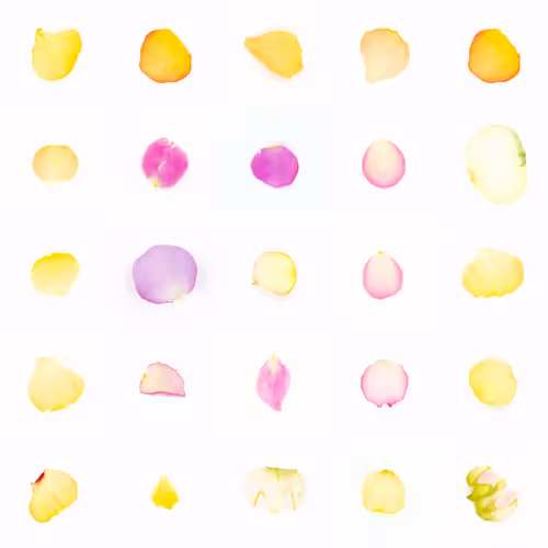 Infinite Petals 5x5#1702