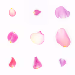 Infinite Petals 3x3#1585