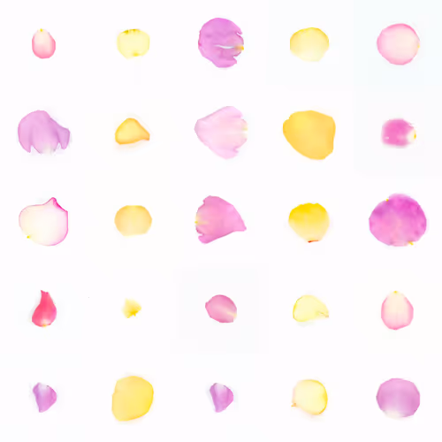 Infinite Petals By Sarah Meyohas
