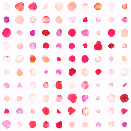 Infinite Petals By Sarah Meyohas