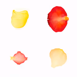 Infinite Petals 2x2#3765