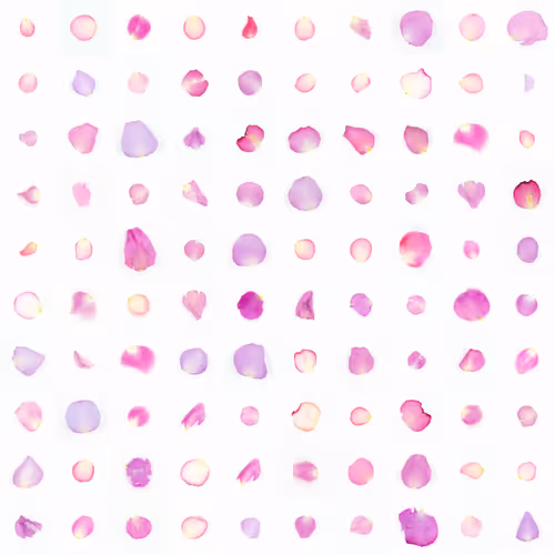 Infinite Petals By Sarah Meyohas