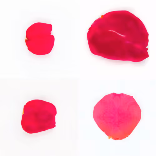 Infinite Petals 2x2#3528