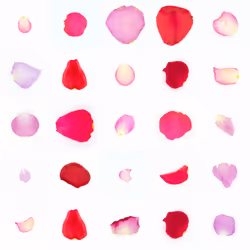 Infinite Petals 5x5#20789