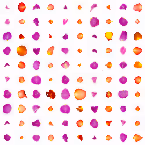 Infinite Petals By Sarah Meyohas