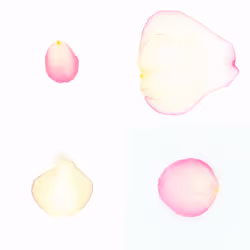 Infinite Petals 2x2#4032