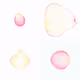 Infinite Petals 2x2#4032