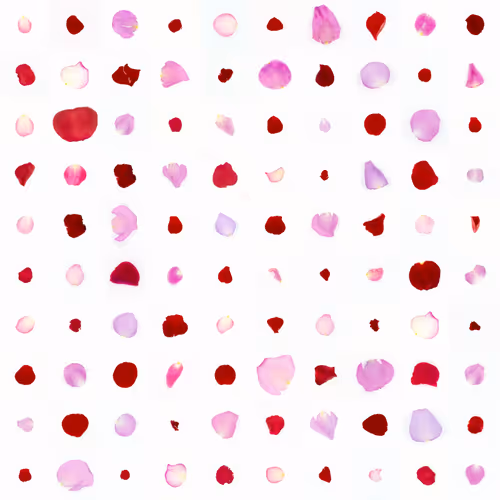 Infinite Petals 10x10#1237