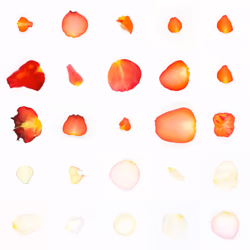 Infinite Petals By Sarah Meyohas