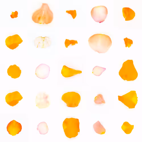 Infinite Petals 5x5#20117