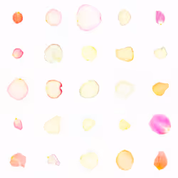 Infinite Petals 5x5#20793