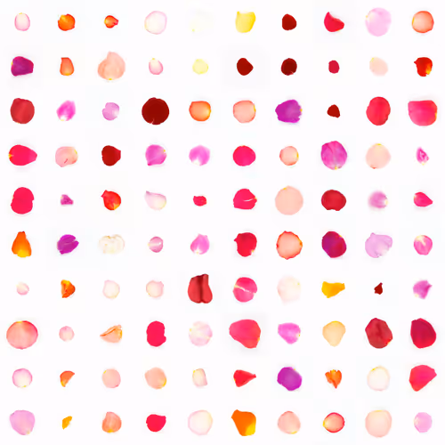 Infinite Petals By Sarah Meyohas