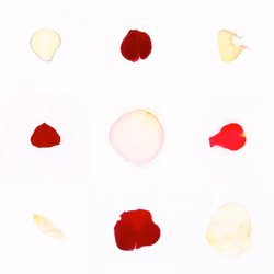 Infinite Petals 3x3#3727