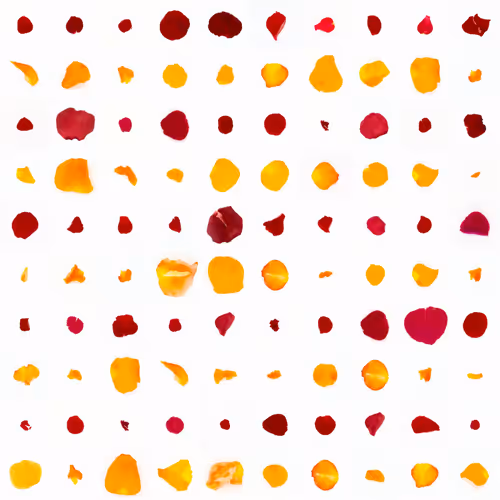 Infinite Petals By Sarah Meyohas