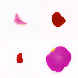 Infinite Petals 2x2#3699