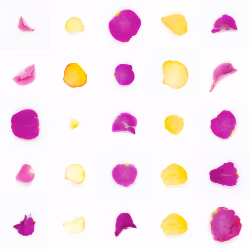 Infinite Petals By Sarah Meyohas