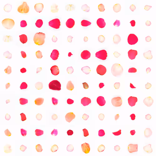 Infinite Petals By Sarah Meyohas