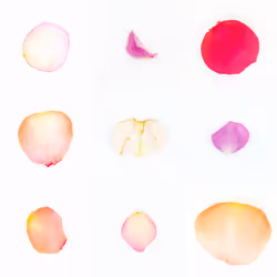 Infinite Petals 3x3#3324