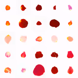 Infinite Petals 5x5#20585