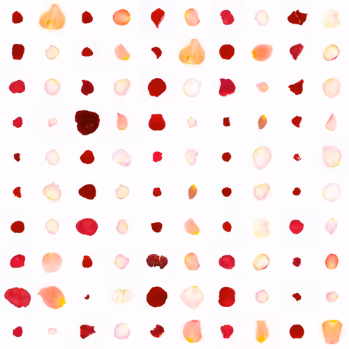 Infinite Petals By Sarah Meyohas