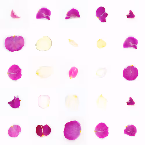 Infinite Petals By Sarah Meyohas